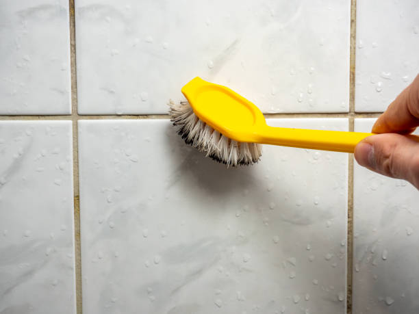 Best Mold Testing  in Morristown, NJ