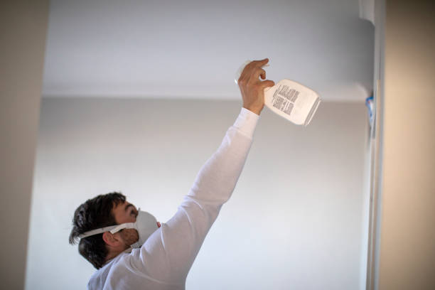 Best Same-Day Mold Removal  in Morristown, NJ