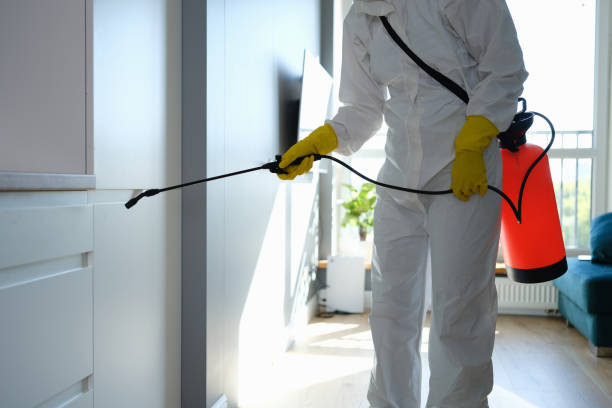Best Certified Mold Removal  in Morristown, NJ