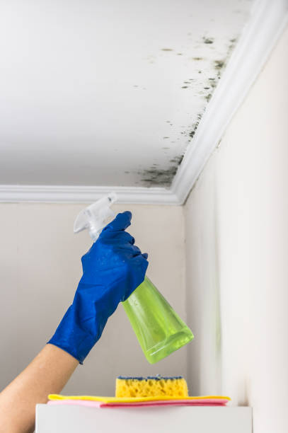 Best Water Damage Restoration  in Morristown, NJ